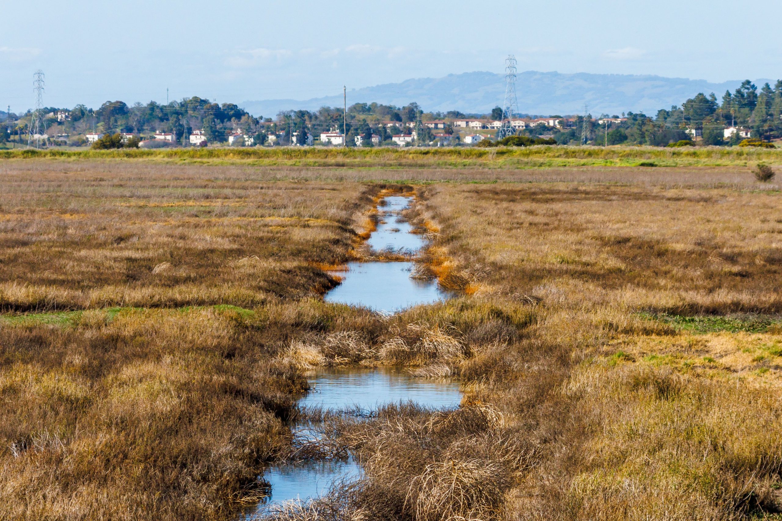 Vast marshland stretching to a distant town under a clear blue sky, showcasing natural beauty.